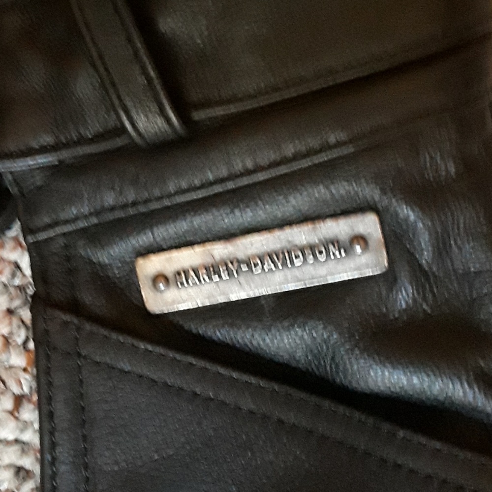 Leather Chaps - image 3